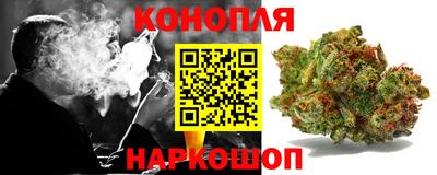 стаф Камышлов