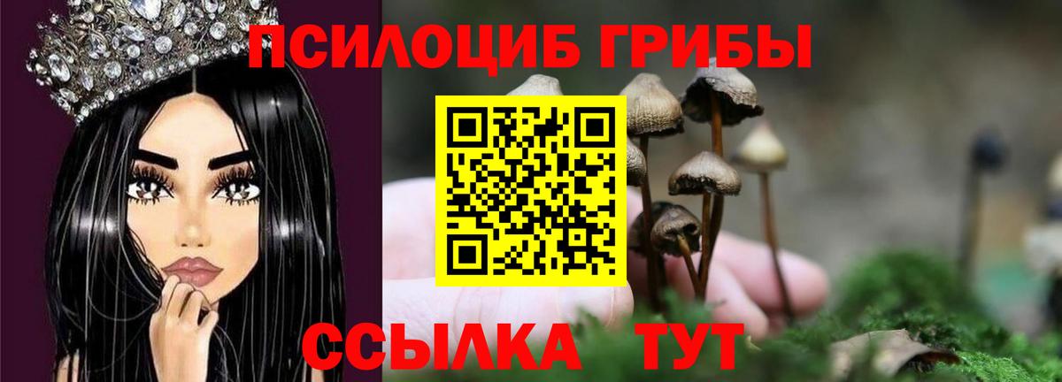 где купить   Вход с VPN  Галлюциногенные грибы ЛСД  Дальнереченск  Галлюциногенные грибы GOLDEN TEACHER 